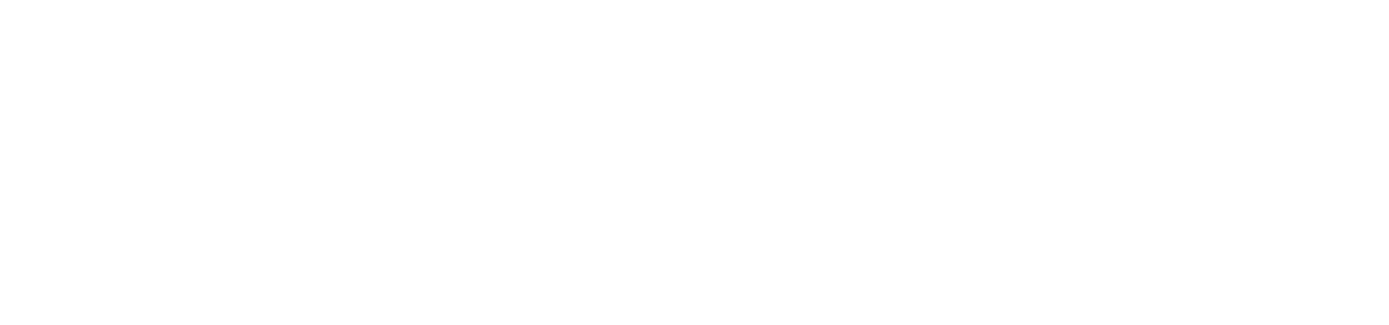 white logo of pinnacle florida financial group