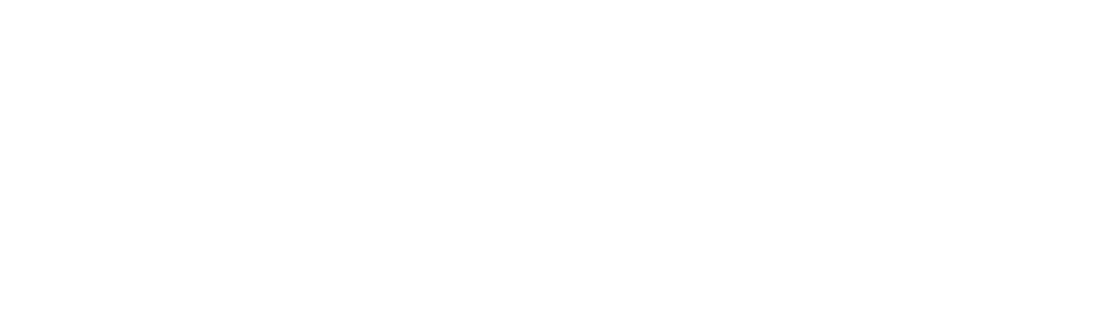 white logo of pinnacle florida financial group